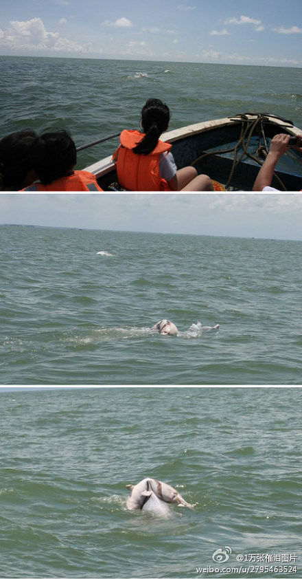 身为中国人，这30件事情你必须知道【组图】