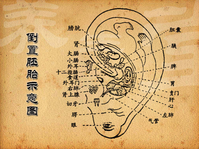 3月26日播出：耳朵泄露的秘密（1）鈥斺斖访嫖骞