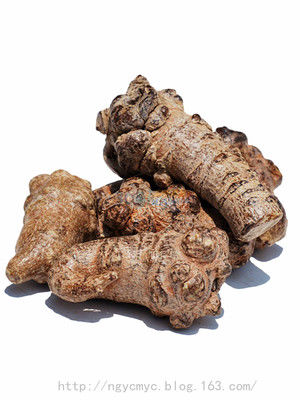 只需三种药材，百分之百治好各种胃病的药方 - ngycmyc - ngycmyc的博客