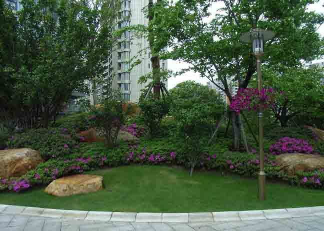 国内住宅小区植物常规设计手法解析