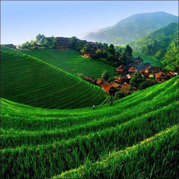 令人心醉的美！不看对不起自己的眼睛！ - 博爱友爱 - 博爱友爱