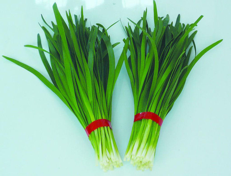 16个降血糖能手食品 - 空谷幽兰 - 空谷幽兰憩居