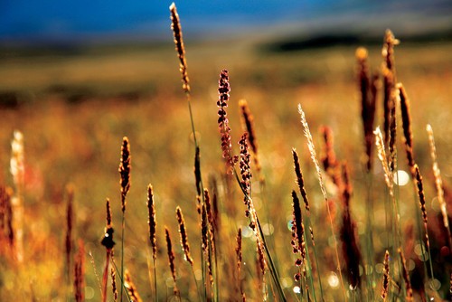 风光摄影圣经之光影的表现力
