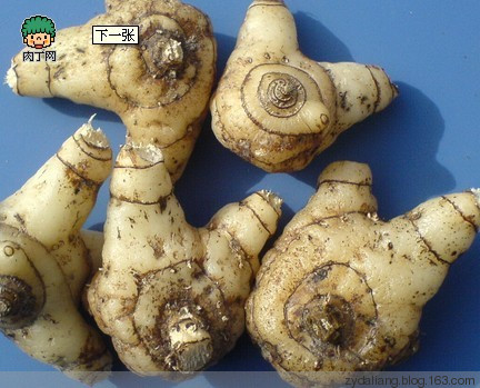 头发白了不用愁——天然染发剂 - 瀛子 - 瀛の小笺