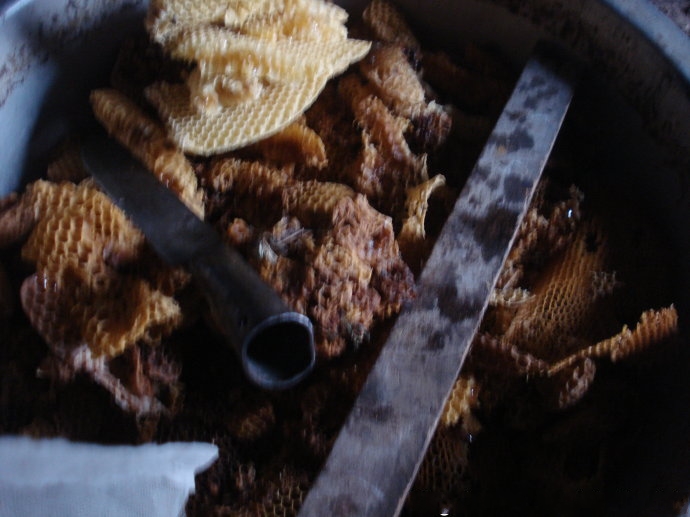 养蜂人女儿告诉你蜂蜜的真相