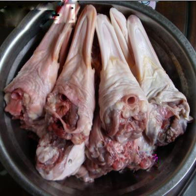 把它学到手，气死熟食店！！ - 白石秋水 - 白石秋水