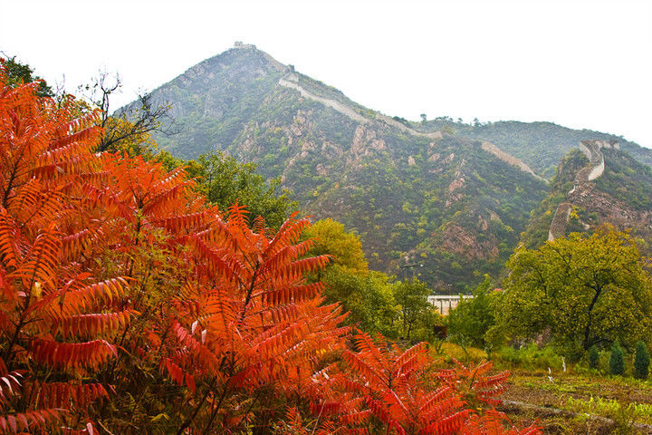 中国八大空中棧道 - 怀旧.梦缘 - 怀旧.梦缘