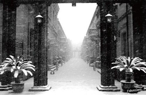 冰雪拍摄实战技法解读