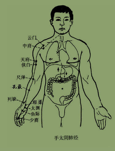 最简“治百病”锻炼方法（共有十节 可供选练） - 逍遥 - 逍遥