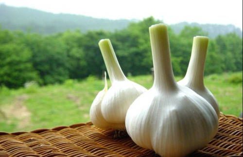 生病少吃药 15种食物惊人疗效(资料图) 