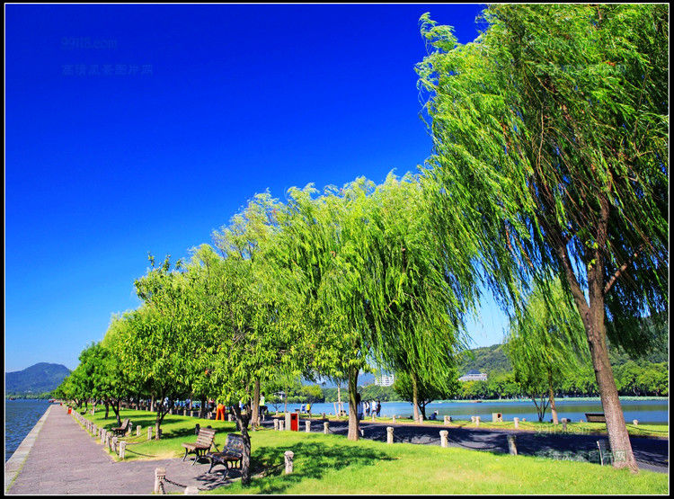 杭州湾风光 - 飞春 - 飞春博客