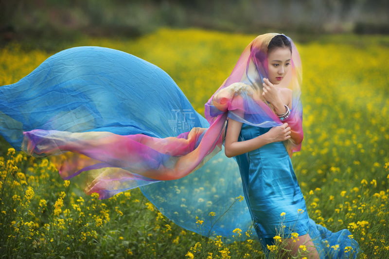 《春姑娘》【油菜花仙子】 - 魅影沉香 - .