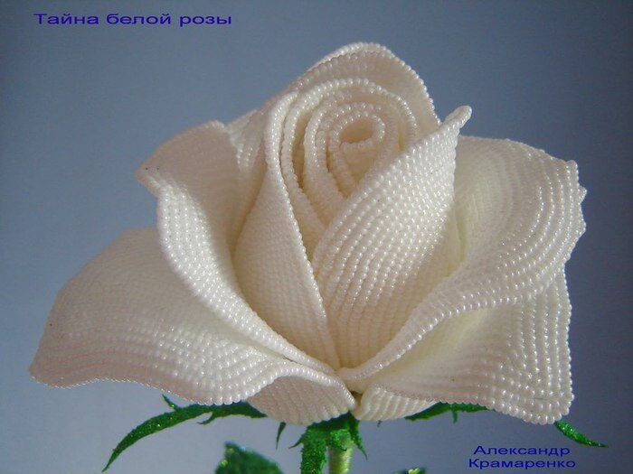 DSC00014_2 (700x525, 56Kb)