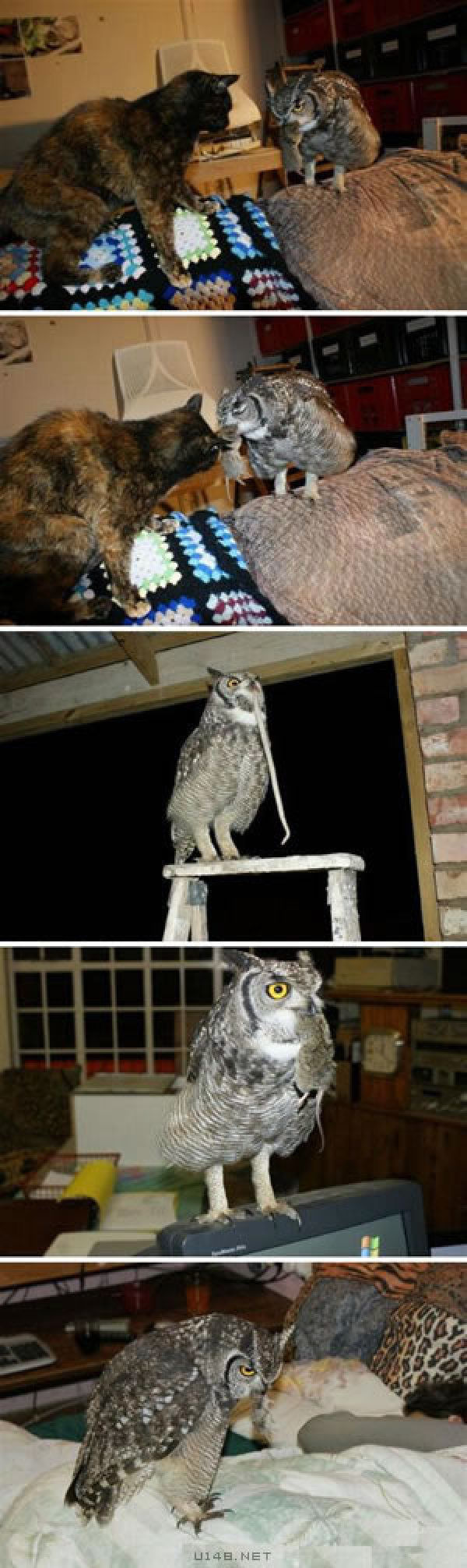 身为中国人，这30件事情你必须知道【组图】