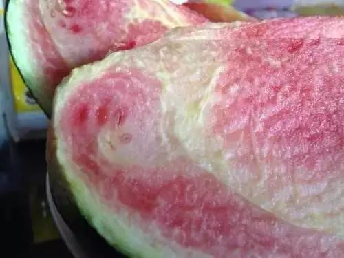 西瓜要选母的才好吃 你知道吗？