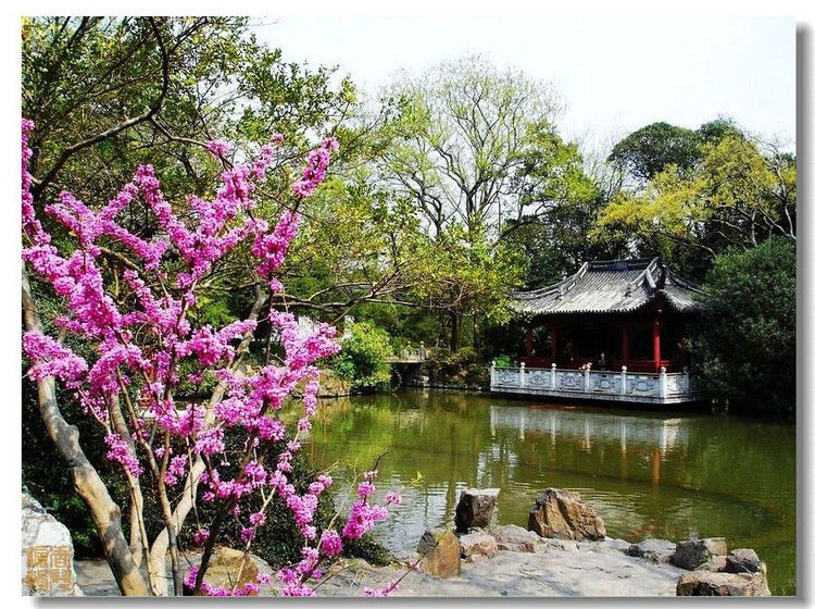 Y-苏州风光美天下 9【31】 - PPT园地 - 永平的博客