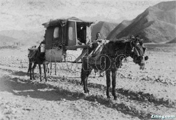 1927年 热河的驮轿.jpg