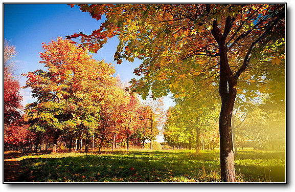 秋旖旎秋色 美不胜收  伊水一方 开心屋