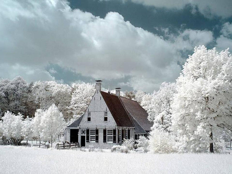 写给七十岁时的自己 - 老教授 - 老教授