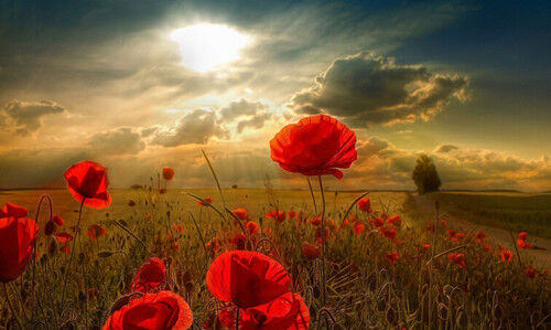 插画心语：一些事，只能当记忆。一些人，只能做过客| jiaren.org