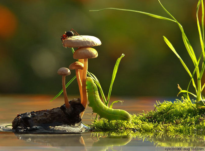 美！美的令人无法呼吸 - 色影无忌 - 色影无忌的博客