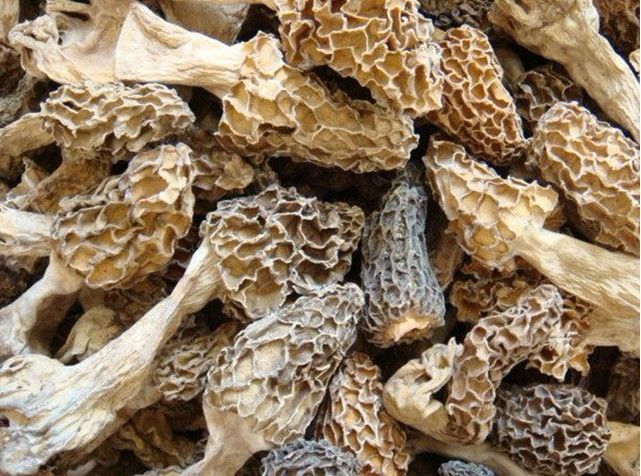 常见干货的发制方法 - 逍遥客 - 逍遥客