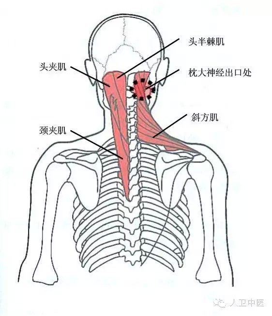 颈肩病常见的几个压痛点 - 秋白 - 黑色物语