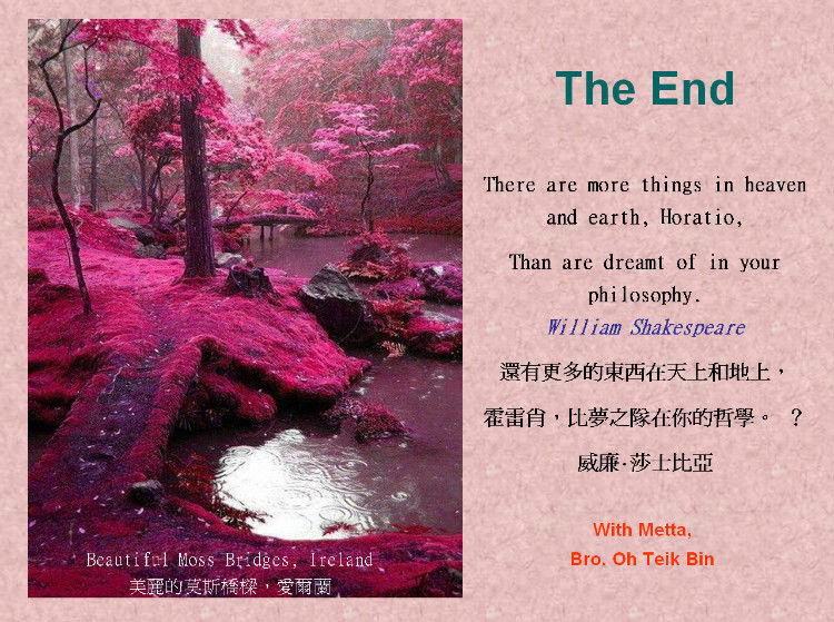 24幅真正了不起的照片 - 怀旧.梦缘 - 怀旧.梦缘