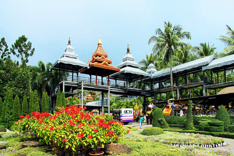 【引用】нуч花园轩弄。泰国 - 枫林傲然 -                  .