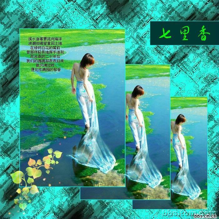 席慕容詩詞精選   - 老排长 - 老排长（6660409）