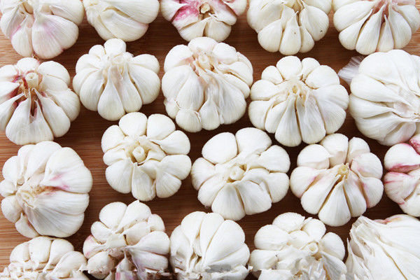 神奇的煮大蒜水的功效 - haikanghuayuan - 云雾青山欢迎您