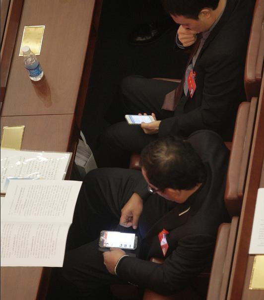 狗杂种 - 逍遥客 - 逍遥客