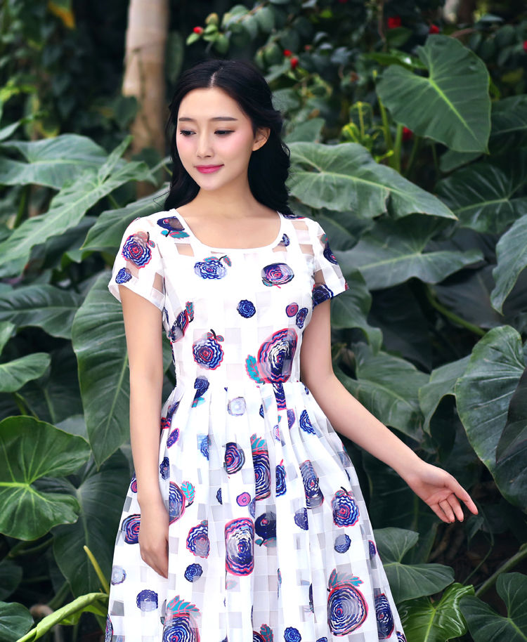 清新伊人第41季〖精品绿色主题系列素材〗 - 军警草原狼 - 军警草原狼音画家园（壹）