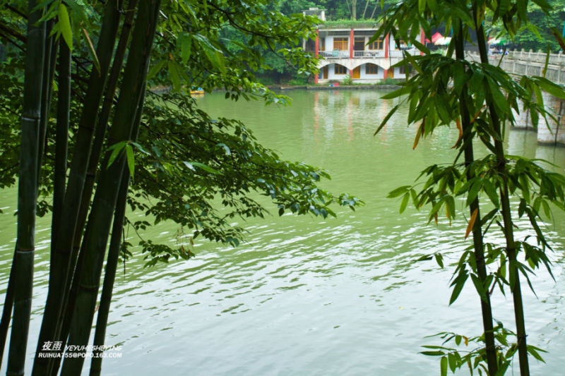 【原创】多彩贵州 - 夜雨 - 喜欢夜里沙沙下的雨......