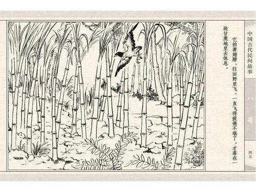 八哥 - shunlin01 - 美术资料与连环画