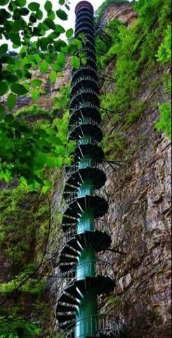 简直令人难以置信... - 美人鱼 - 美人鱼