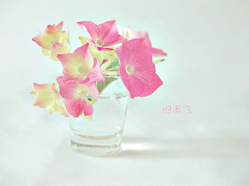 插画心语：遗忘就是我们给彼此最好的纪念| jiaren.org