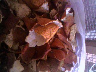 陈皮[别名；黄皮，红皮。]功能；理气健胃，燥温化痰。作用；驱腥增香。