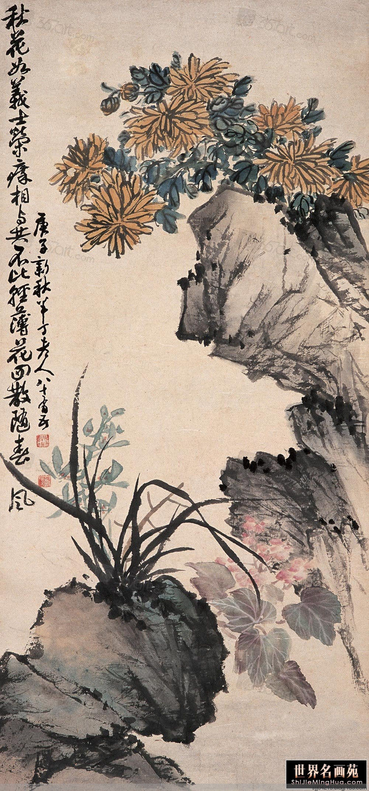 陈半丁 菊花作品精选集（3） - 云破月来花弄影 - 云破月来花弄影