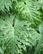 找准你家的财位！金钱来找你，挡也挡不住 - 吝色鬼 - 吝色鬼 的博客