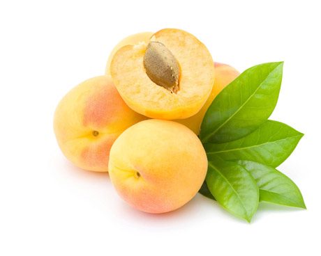 杏（图片来源于百度搜索）