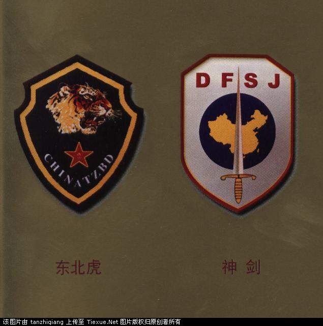 沈阳军区东北虎特种部队、北京军区东方神剑特种部队
