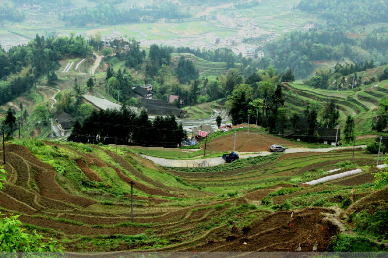 紫鹊界——冷风凄雨中的梯田 - 酉水人 - 酉水人