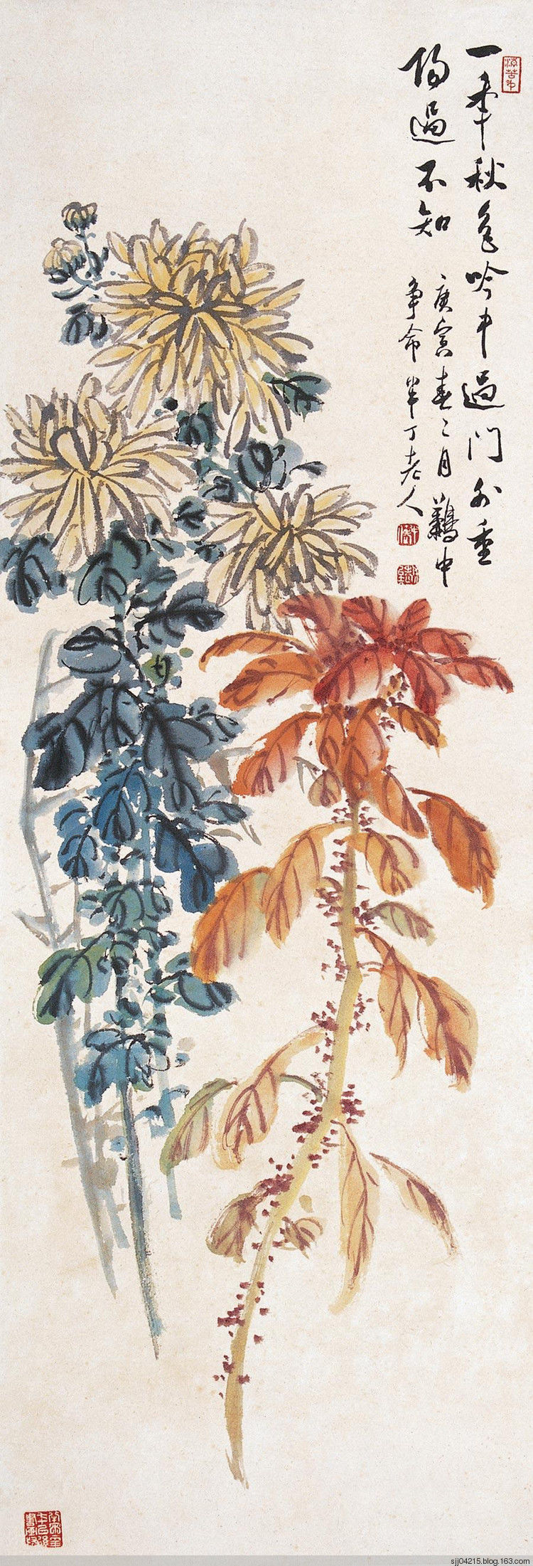 陈半丁 菊花作品精选集（3） - 云破月来花弄影 - 云破月来花弄影