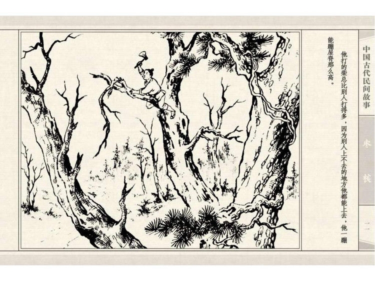 枣核 - shunlin01 - 美术资料与连环画