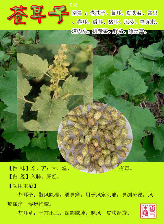 [转载]常用中草药300种图谱