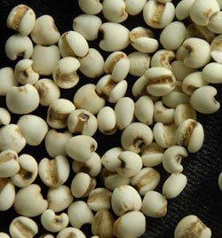 九大“护心”食物