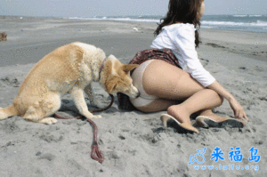 告诉你 “男不养猫、女不养狗” 的秘密  文/阿林 - 阿林 - alin2006721的博客