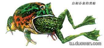 盘点中国神秘事件 至今为止仍然是未解之谜 (38)