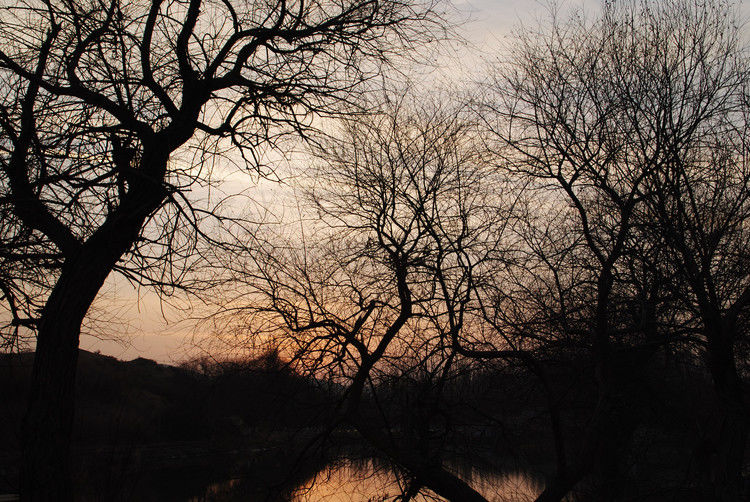 鄯善 - JOJO - JOJO带你游世界